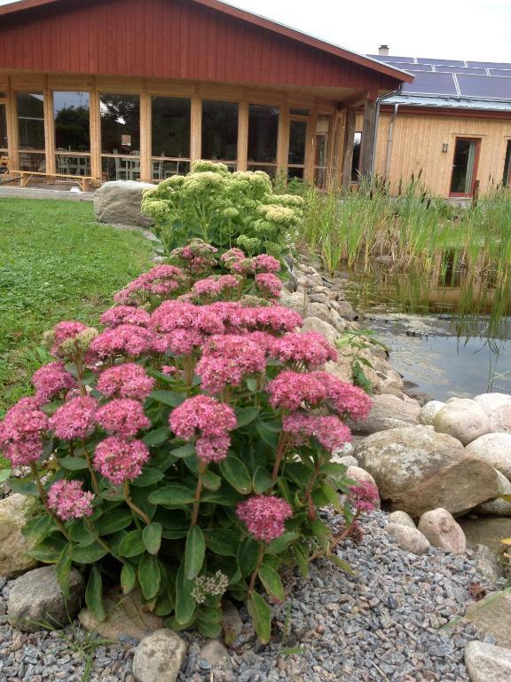 Kontakta Liselotte Abel Bed and Breakfast Vessigebro Exterior foto