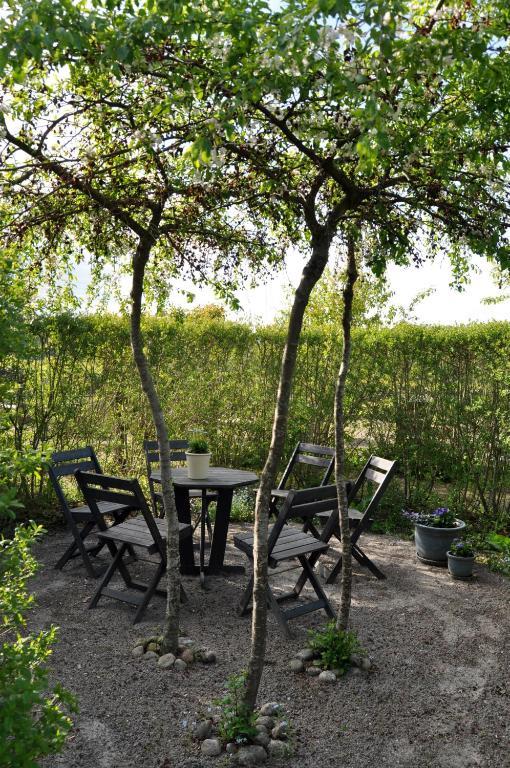 Kontakta Liselotte Abel Bed and Breakfast Vessigebro Exterior foto